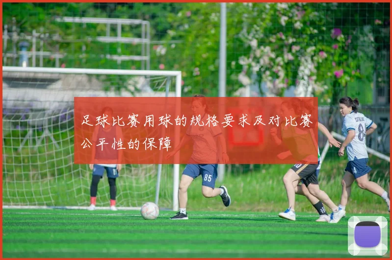 足球比赛用球的规格要求及对比赛公平性的保障