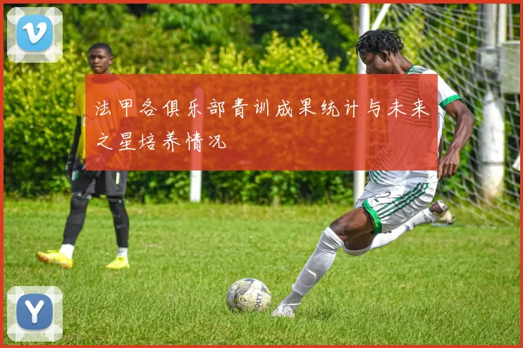 法甲各俱乐部青训成果统计与未来之星培养情况